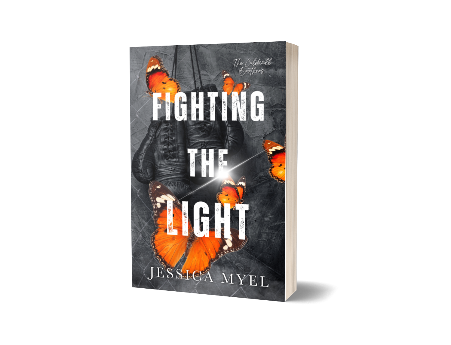 Fighting The Light